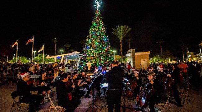Orchestra performing outdoors at night in front of large Christmas tree