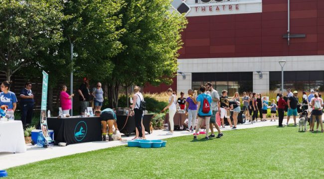 Various people outside in public park