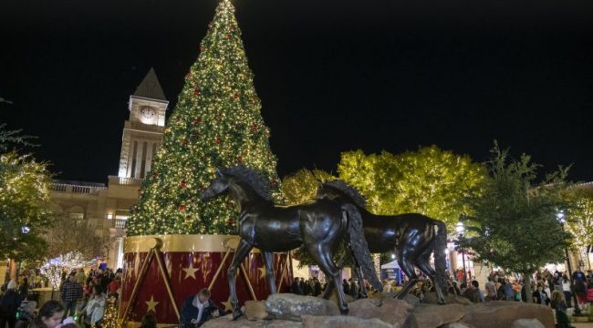 Two horse statues at night in front of Christmas tree