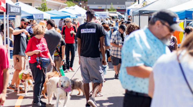 Outdoor event with tents and people walking dogs