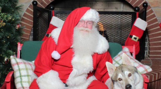 Santa posing with dog