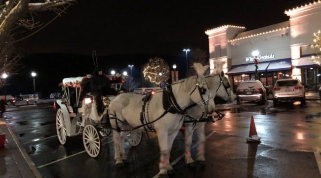 Horse drawn carriage at night