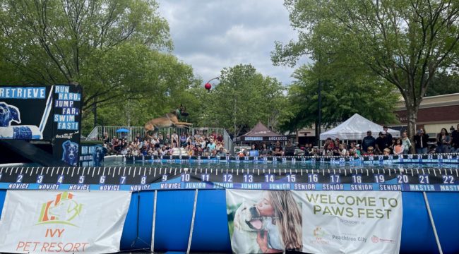 APC-Paws-Fest-2022_650x360_acf_cropped